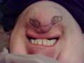 Lord Pallington Spudhead