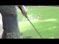 Funny Golf Bloopers