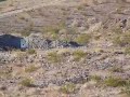 338 Lapua Magnum vs. gallon can of water at 300 yards