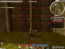 Guild Wars Remixed Guild Wars Remixed