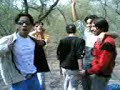 a jungle trip......... be careful