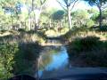 videos de Cañada dehesa de roche.MOV