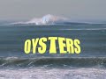 North Devon Surf History DVD trailer