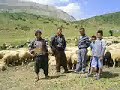 esenköy toybuklu avsarlar esenköy toybuklu avsarlar