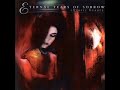 the cover song of an iron maiden song by eternal tears of sorrow

the keyboard solo at the end by pasi hiltula is trully amazing!