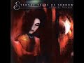 the cover song of an iron maiden song by eternal tears of sorrow

the keyboard solo at the end by pasi hiltula is trully amazing!