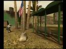 BF2 Movie Test