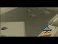 videos de Runescape Halloween 2008 event +emote FIRST VIDEO!!!