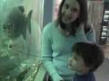 videos de Nik at Leonardos (Big Fish)
