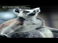 Big 3 Collapse 'Ripple Effect'.mov