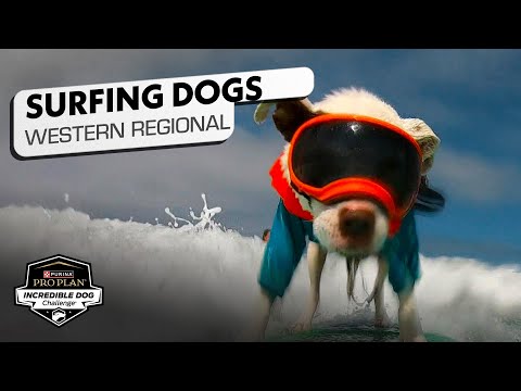 Random Ripley's Roundup... Part 5 of ???