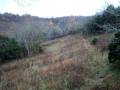 videos de My bowhunting stand 2008 TN