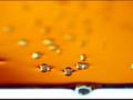 myliu video