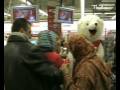 PolarBearThauCanon