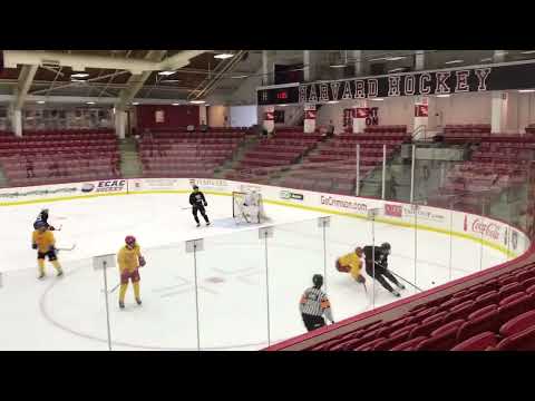 Harvard Camp 2022 #19 Yellow