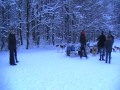 Hundewiese Gütersloh im Winter