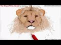 Drawing a Lion