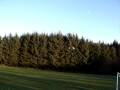 Belt CP Park Flying