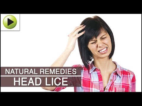 how to treat house for lice