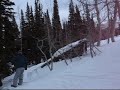 Tree Boarding.wmv Tree Boarding.wmv