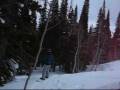 Tree Boarding.wmv