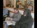 hairyback.html
