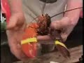 Mutant Lobster - VOA Story