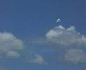 videos de sig kougar vuelos rc pase rapido ,republica dominicana