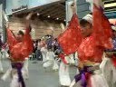 2008YOSAKOI　第55回高知よさこい祭り　 ほにや
