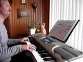 keyboardclub-luc Rod Steward - I Am Saling video