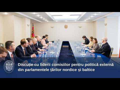 Președinta Maia Sandu a discutat cu liderii comisiilor pentru politică externă din parlamentele țărilor nordice și baltice