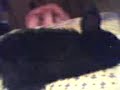 hehe 2