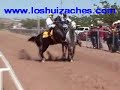 22 de ABRIL EL TARTANERO VS EL APACHE