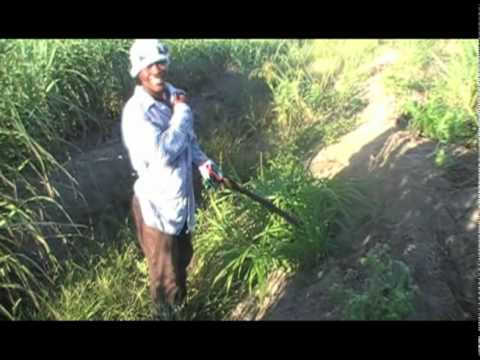 See video