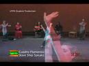 The EMMY-Nominated UTPA Today Show 1 of 6