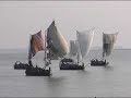 Sea Birds in Sittwe(Burma)