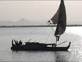 Sea Birds in Sittwe(Burma)