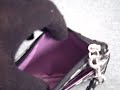 www.dreamadventures.net View this 100% authentic designer handbag, and more from other brands in our eBay Store! When you purchase from Dream-Adventures we provide White Glove Customer Service. You can read more about our commitment to White Glove Customer Service at http We want you...