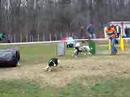 Paralelní závod agility - Liben .Dvě začátečnické brderinky .