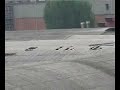 amianto a Bologna-Casaralta