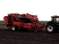Case-IH 1455 Grimme Trekkerweb aardappelsrooien Case-IH 1455 Grimme Trekkerweb aardappelsrooien
