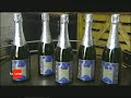 Vignoble des Agaises, Cuv�e Seigneur Ruffus:  RTBF 2005