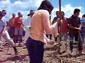 ELABORACIÓN DE UNA PILA DE COMPOST ELABORACIÓN DE UNA PILA DE COMPOST