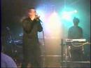 Provision - Could've Had It All Live