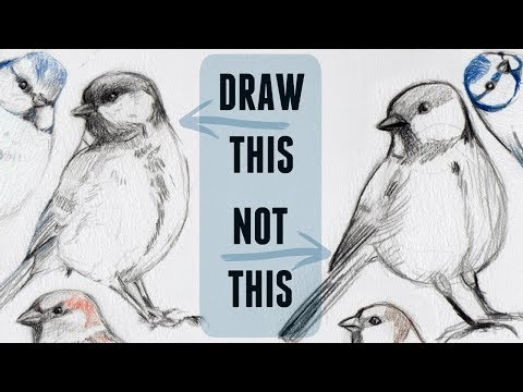 video-linktoworks-Sketching Animals: How to Draw a Realistic Bird