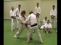 Mitsusuke Harada - Karate Lesson