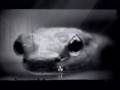 NIN - Hurt (Orginal Video Behind The Scenes)