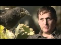 Ce que Darwin ne savait pas encore (5 sur 7) Default