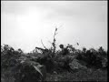 Marine Machine Gunner, Peleliu Marine Machine Gunner, Peleliu