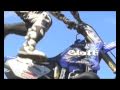 Black Duck Valley Clip